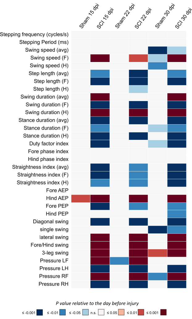 figure-results-4 Spinal cord injury analysis; stepping metrics heatmap; cycle frequency; injury days comparison.