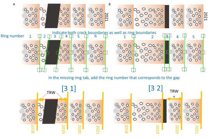 figure-protocol-7
