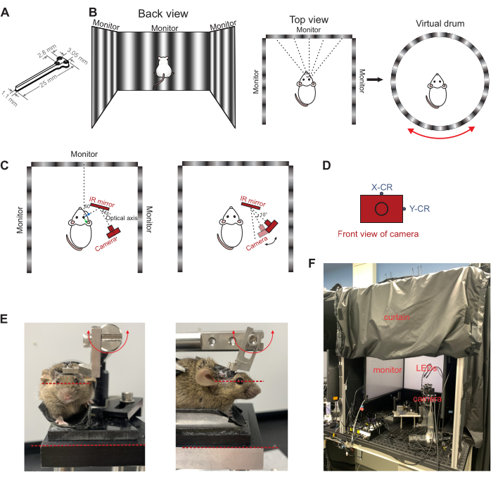 figure-results-1 Mouse virtual reality setup; diagrams show experimental design for behavior studies using monitors and cameras.