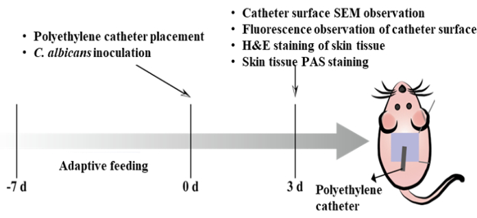 figure-results-2
