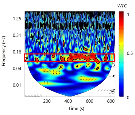 figure-introduction-1 Wavelet transform coherence diagram; frequency-time analysis; spectral fitting results.