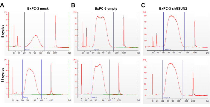 BxPC-3 cell line electropherogram; DNA fragment analysis; 9-cycle vs 11-cycle PCR comparison.