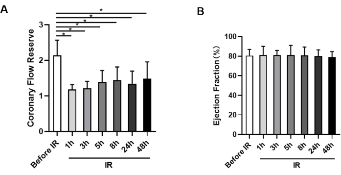 figure-results-3 Bar graphs of coronary flow reserve and ejection fraction over time post-IR, comparing values.