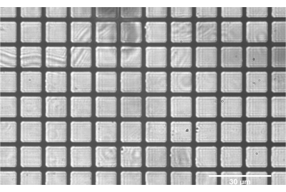 Microscope image of microarray grid for DNA analysis, highlighting surface pattern at 30 μm scale.