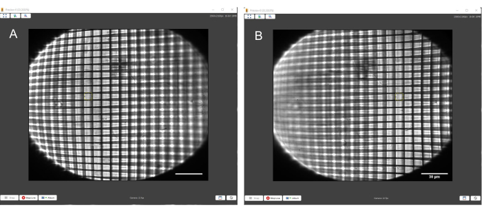 Microscope images of grid distortion analysis; optical calibration, high-precision measurement.