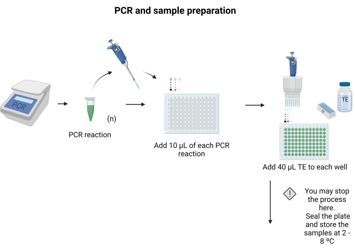 PCR sample preparation process diagram with pipette, reactions, and TE addition for storage.