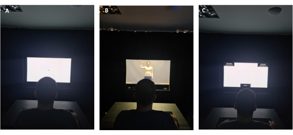 Viewing experiment setup with screen stimulus; cognitive response study, data analysis potential.