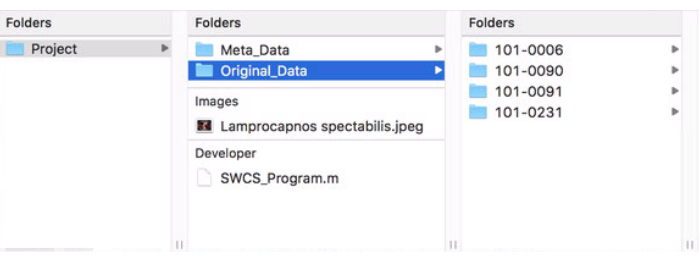 Folder structure diagram for data organization; includes meta, original data, and image files.