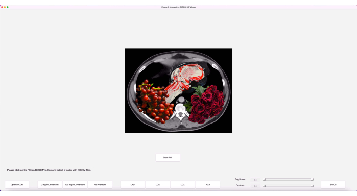 CT scan viewer interface with DICOM file display showing colorful floral pattern, brightness, and contrast.