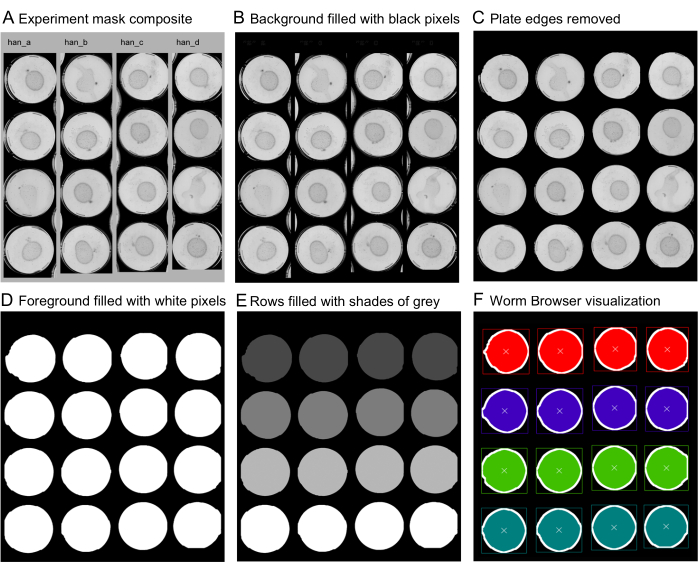 figure-protocol-3