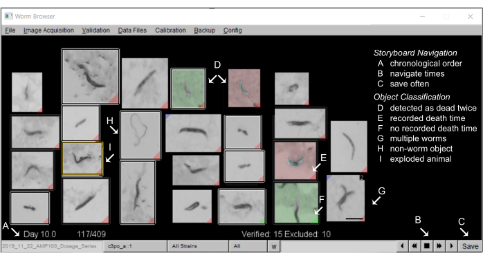 figure-protocol-5
