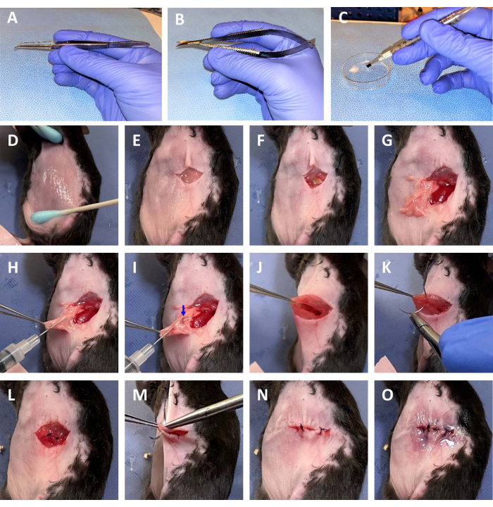 figure-results-2 Surgical procedure steps on animal model; tools, incision, tissue handling, and suturing sequence.