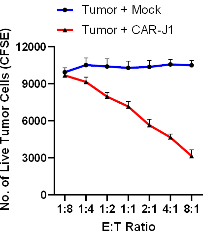 figure-results-1