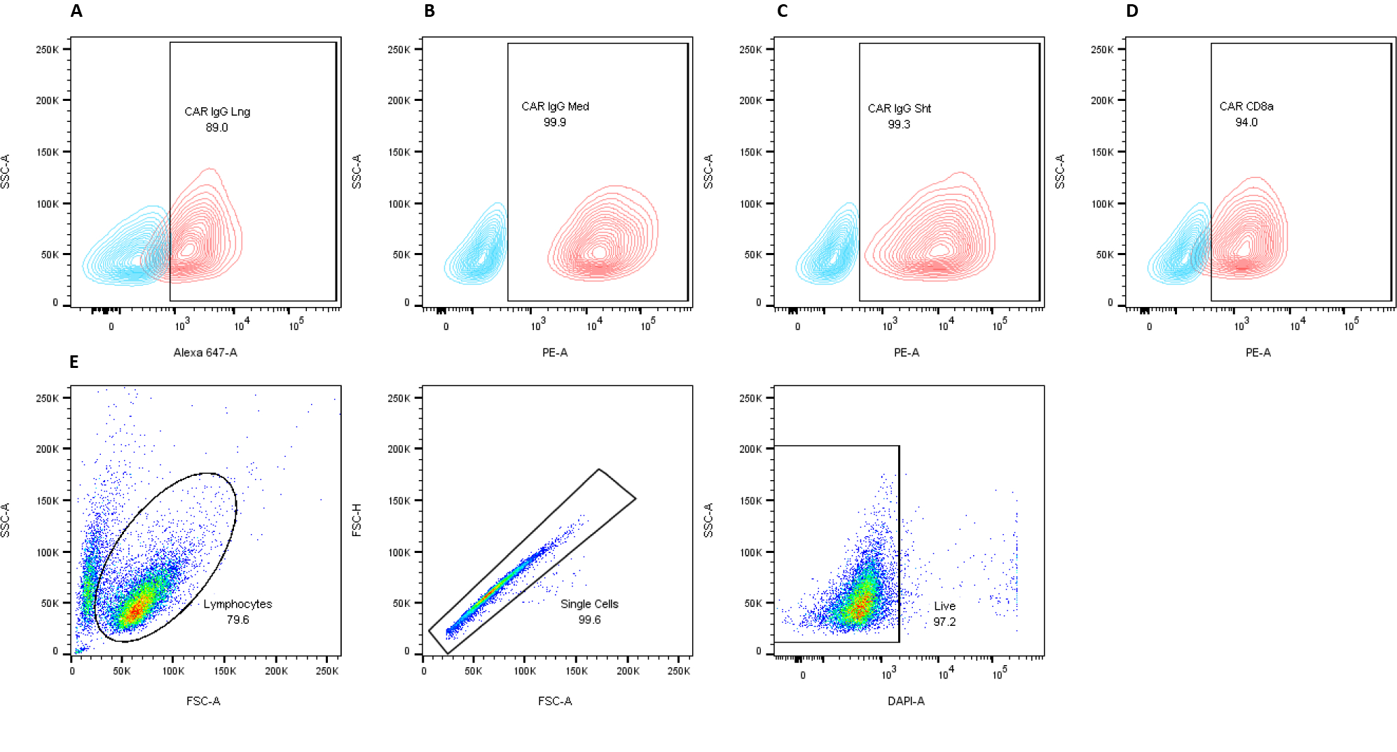 Rapid In Vitro Cytotoxicity Evaluation of Jurkat Expressing Chimeric ...