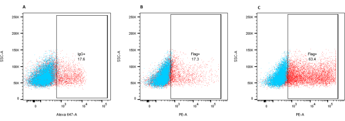 figure-results-5