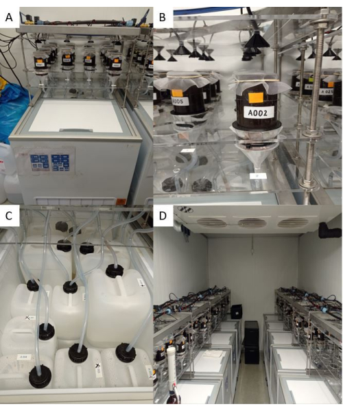 Large-scale bioreactor setup for microbial culture; fermentation tanks, liquid flow system, temperature control.