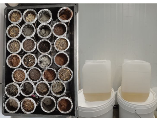 Soil decomposition process, organic matter in containers, leachate collection, environmental study setup.