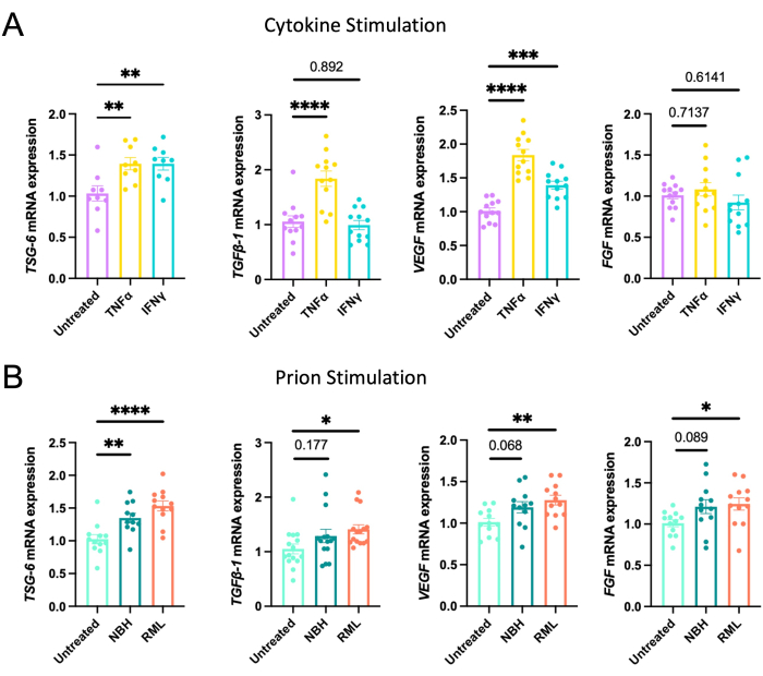 Gene expression analysis; bar graph of mRNA levels under cytokine, prion stimulation; statistical data.