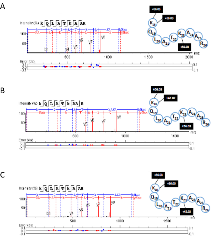 Mass spectrometry spectra of peptide sequences with intensity vs m/z, showing fragmentation patterns.