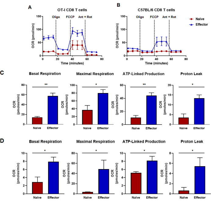 T cell OCR analysis, graph; basal respiration, ATP-linked production, naive vs effector cells, assay results.