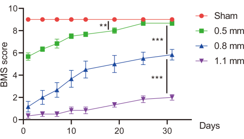 figure-results-4