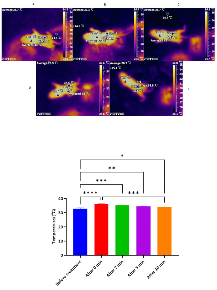 figure-results-8 Thermal imaging and bar chart of temperature changes over time during experimental treatment.