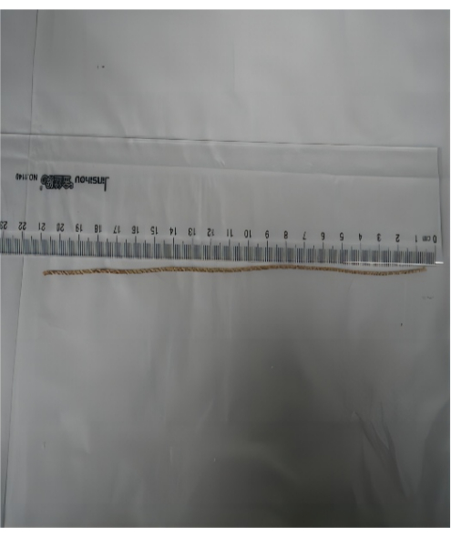 Measuring length of string using transparent ruler; close-up educational experiment.
