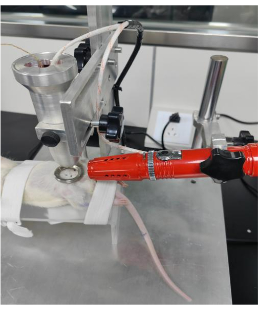 Laboratory setup for rodent surgery and fixation using a stereotaxic instrument.