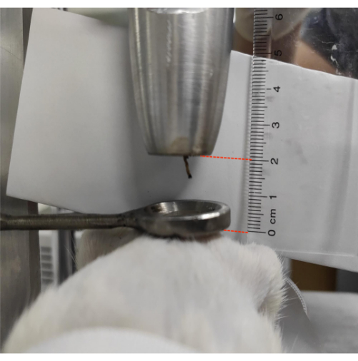 Indentation measurement with caliper in mechanical testing setup; materials analysis; ruler visible.
