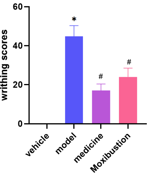 Bar chart comparing writhing scores; vehicle, model, medicine, moxibustion; pain study results.
