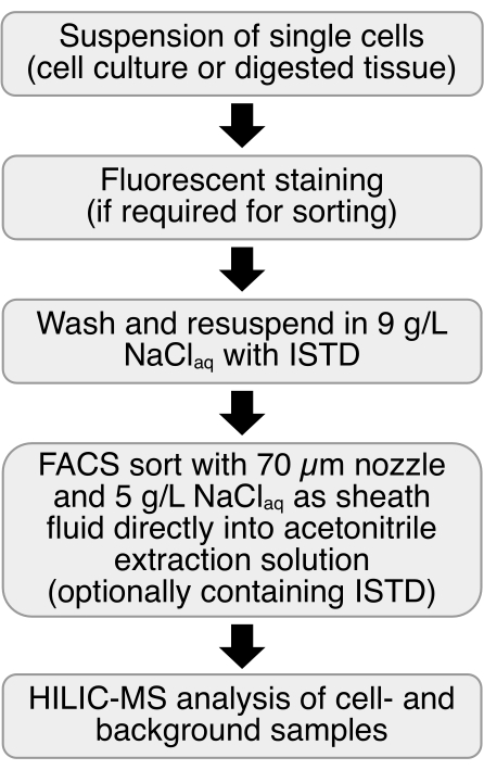 Flowchart of cell suspension, staining, FACS sorting, and HILIC-MS analysis for cellular study.