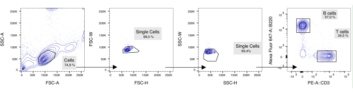 Flow cytometry diagram; cell sorting process; single cell analysis using FSC and SSC; B, T cell count.