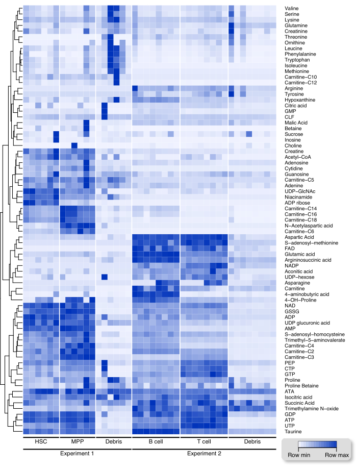Heatmap diagram of metabolite levels; experiments show cell-type distribution and hierarchical clustering.