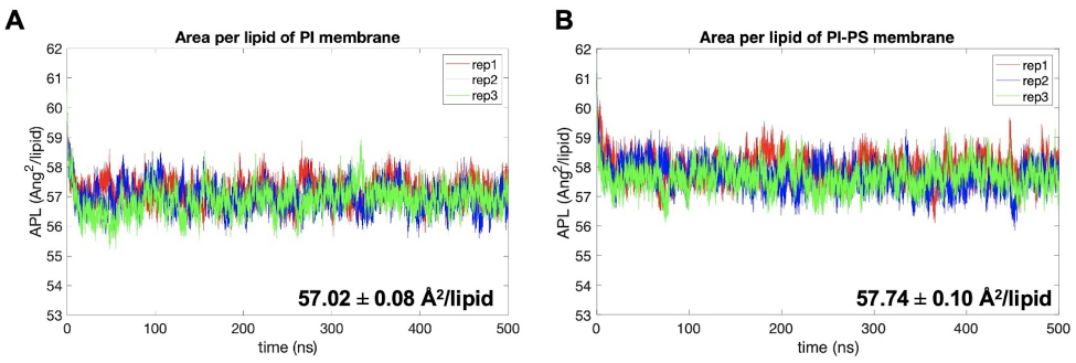 Membrane Modelling Group Realistic Membrane Modeling Using Complex Lipid Mixtures in Simulation ...
