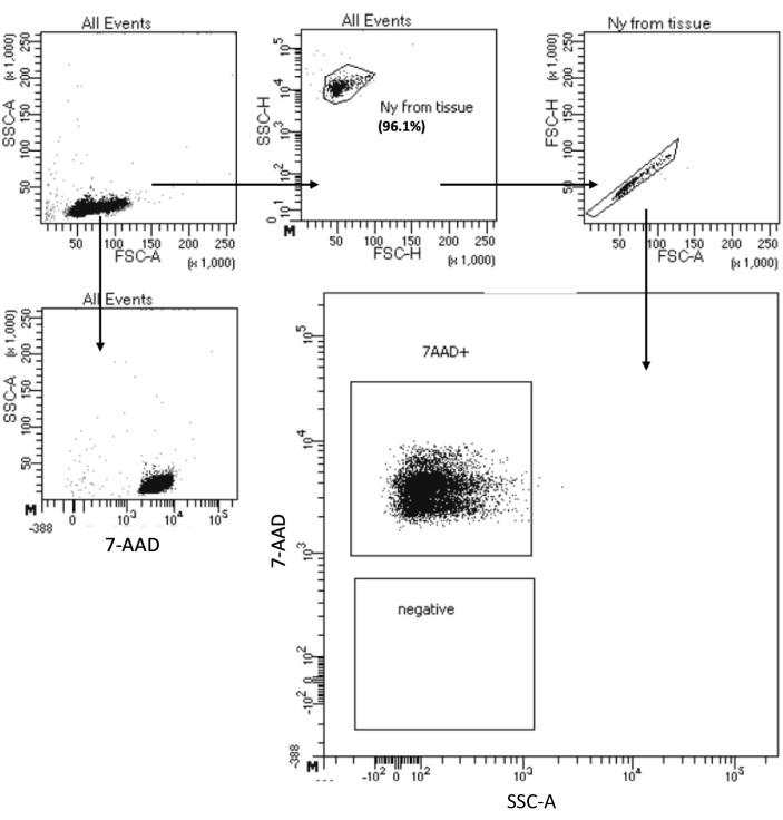 figure-results-3 figure-results-3