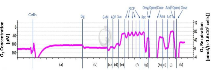figure-protocol-2
