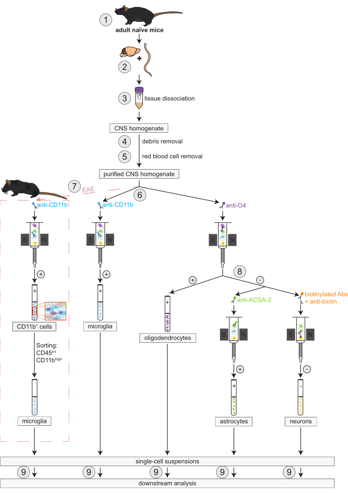 figure-protocol-1