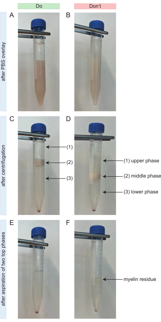 figure-protocol-2
