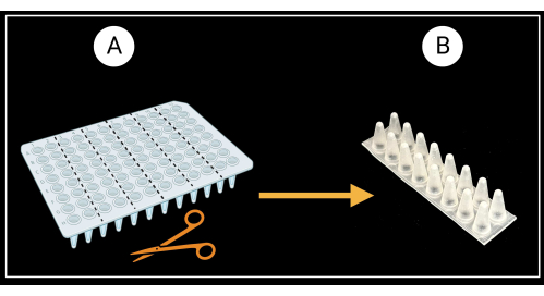 PCR workstation setup, tube cutting method diagram for DNA amplification, experiment process visualization.