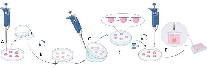 figure-protocol-2