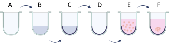 figure-protocol-3