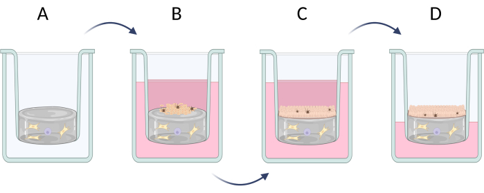 figure-protocol-4