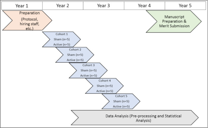 Timeline diagram of a five-year research plan, cohort data collection, and analysis process.