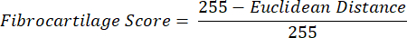 figure-protocol-2 纤维软骨评分公式:(255 - 欧氏距离) / 255;统计学方法示意图。