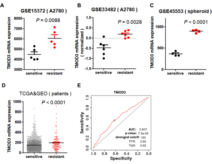 figure-results-3 TMOD3 mRNA expression analysis, scatter plots, ROC curve, sensitivity vs resistance, biological study.