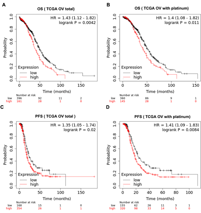 figure-results-4 Survival and progression-free survival Kaplan-Meier curves; TCGA OV data; high vs low expression analysis.