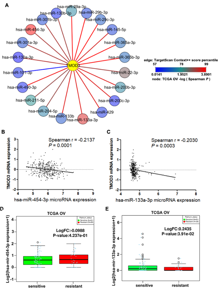 figure-results-5 miRNA-mRNA interaction network diagram and scatter plots with expression data analysis and results.