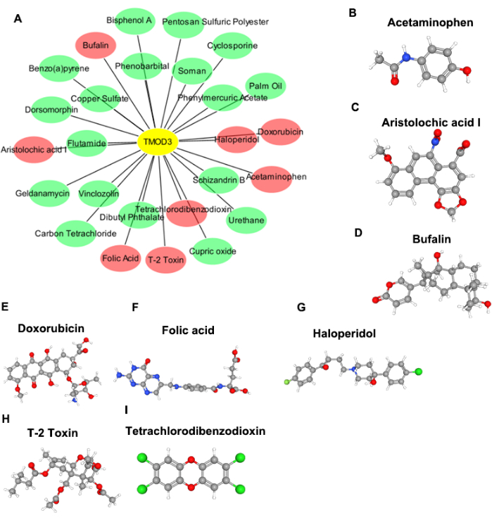 figure-results-9 Chemical interaction network diagram of TMOD3 with molecular structures of various compounds.