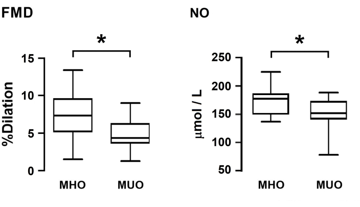 Comparison of FMD and NO levels in MHO vs. MUO; box plots showing vascular response and nitric oxide.