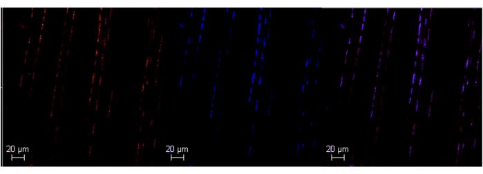 figure-results-3